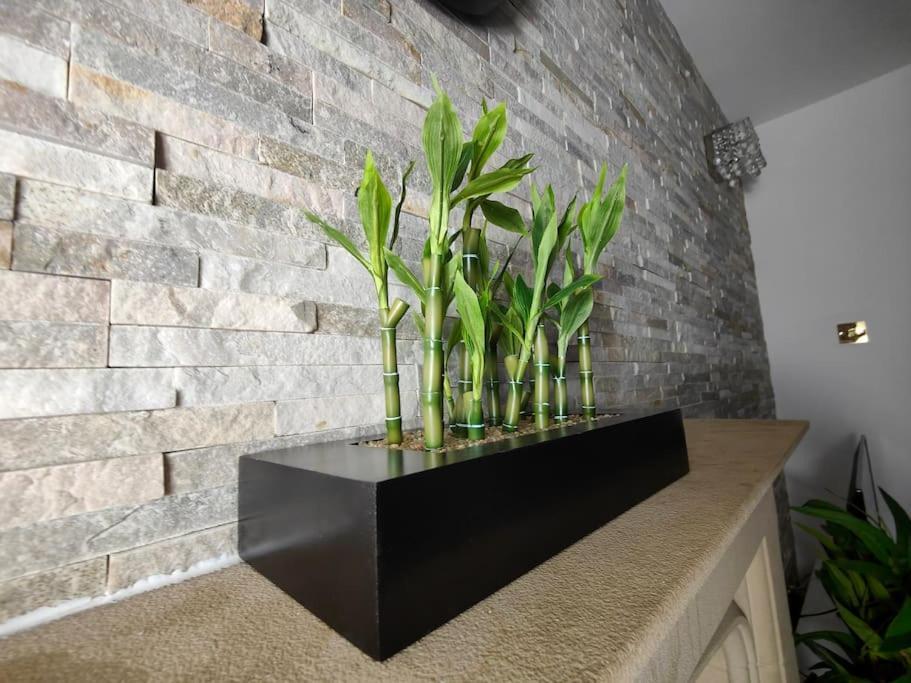 Apartment Tyburn Home, With Free Parking *