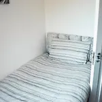 Cosy Home Near Nec, Bhx Bullring & Solihull