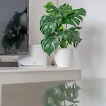 Spacious Flat In West Midlands