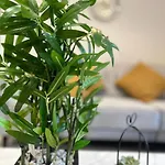 Blissful Retreat In Birmingham - Sleeps 5