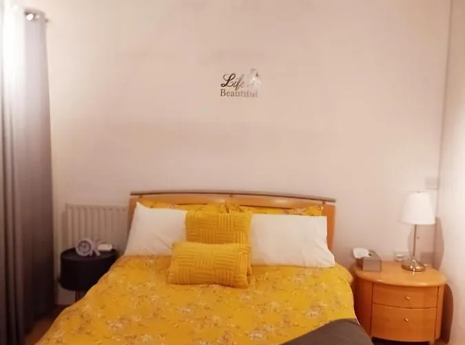 Homestay Cosy Studio
