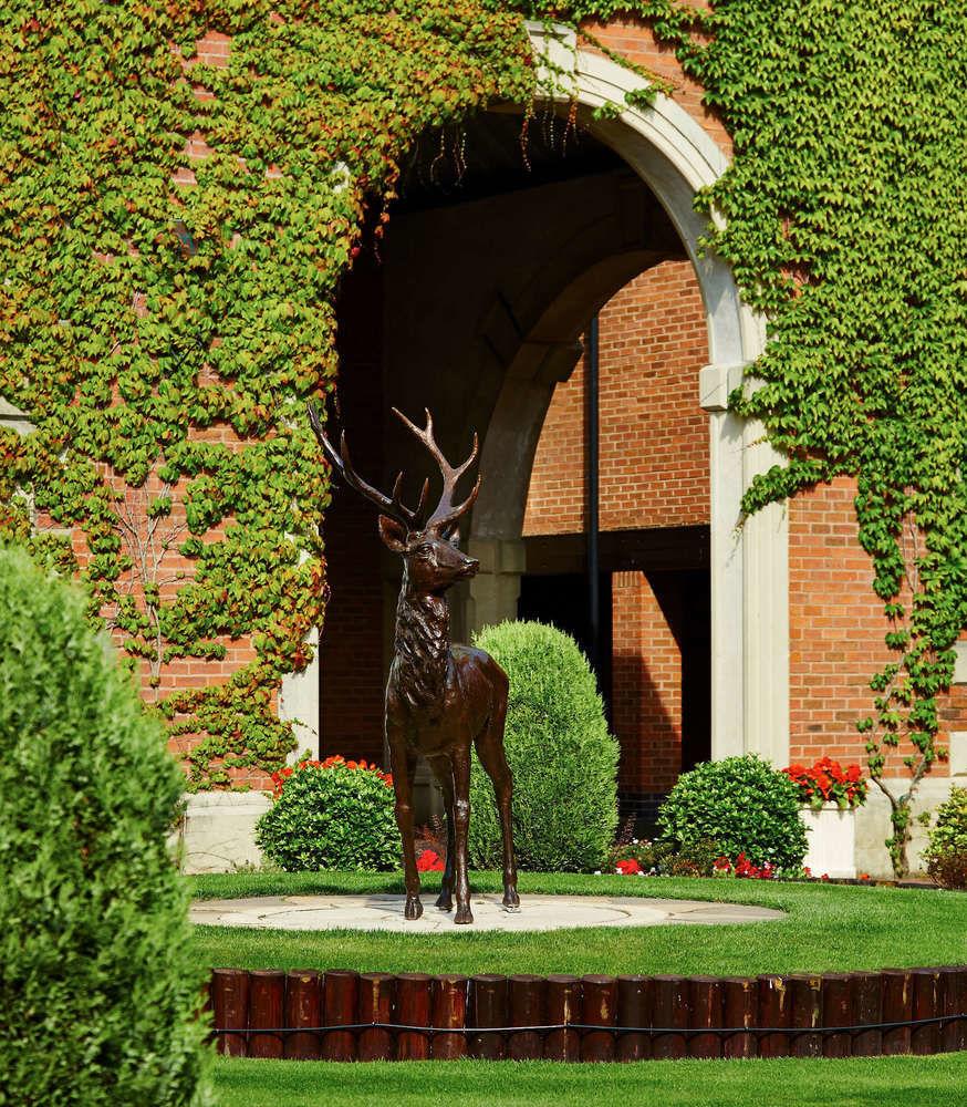 Forest Of Arden And Country Club