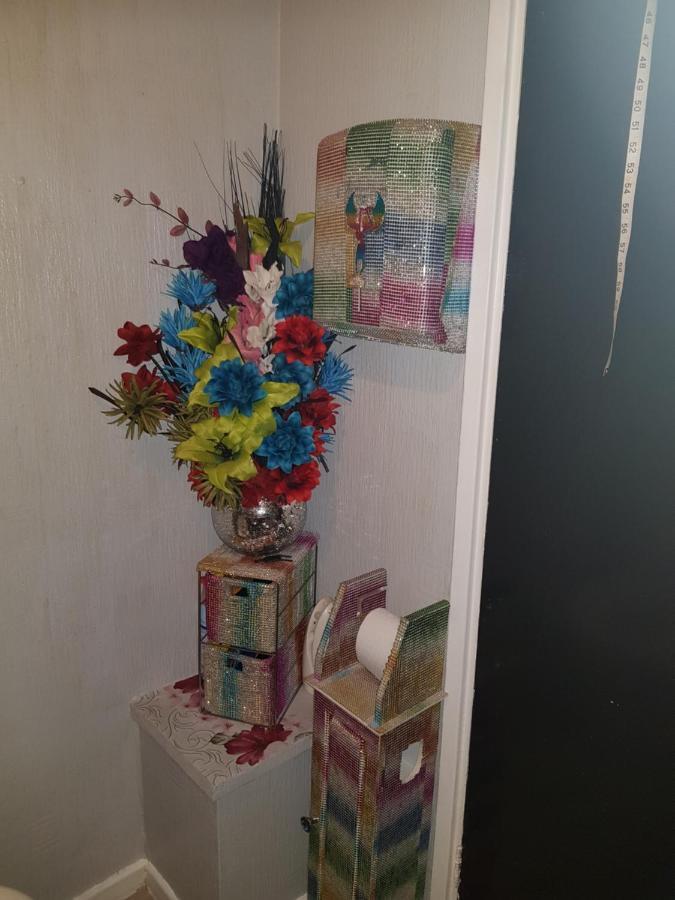 Vivid Homestay *