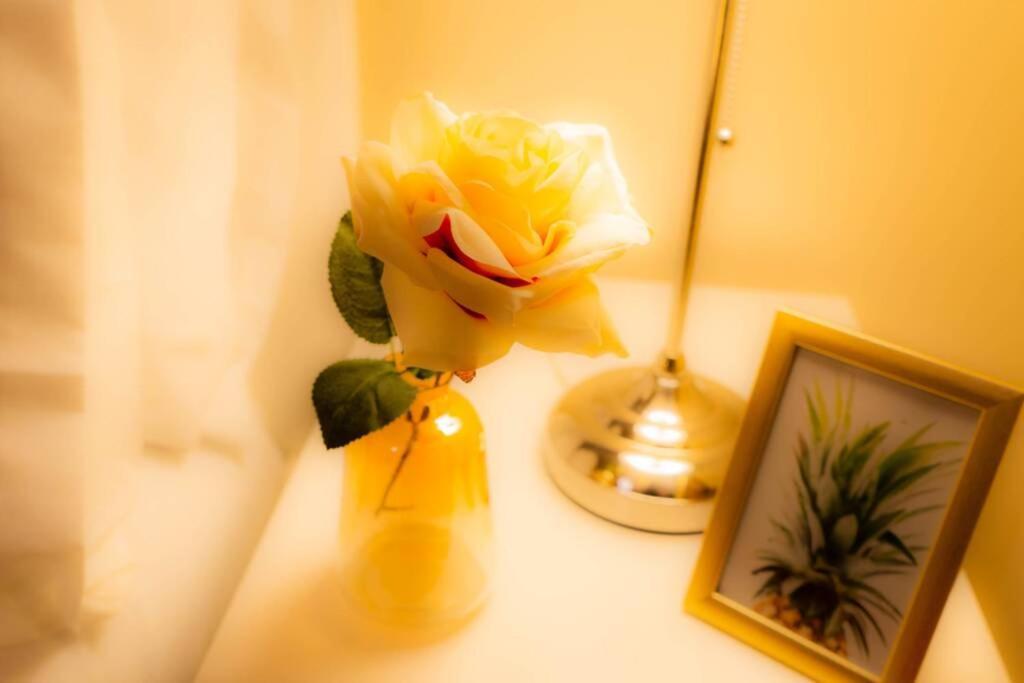 Modern And Cosy With Free Car Park And Free Wifi !!! Apartment Birmingham