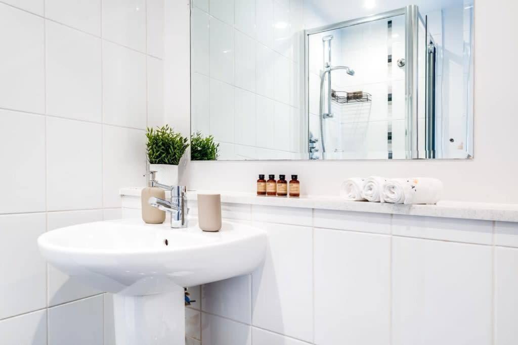 Pluxa Vivacity Sensational In The Heart Of The