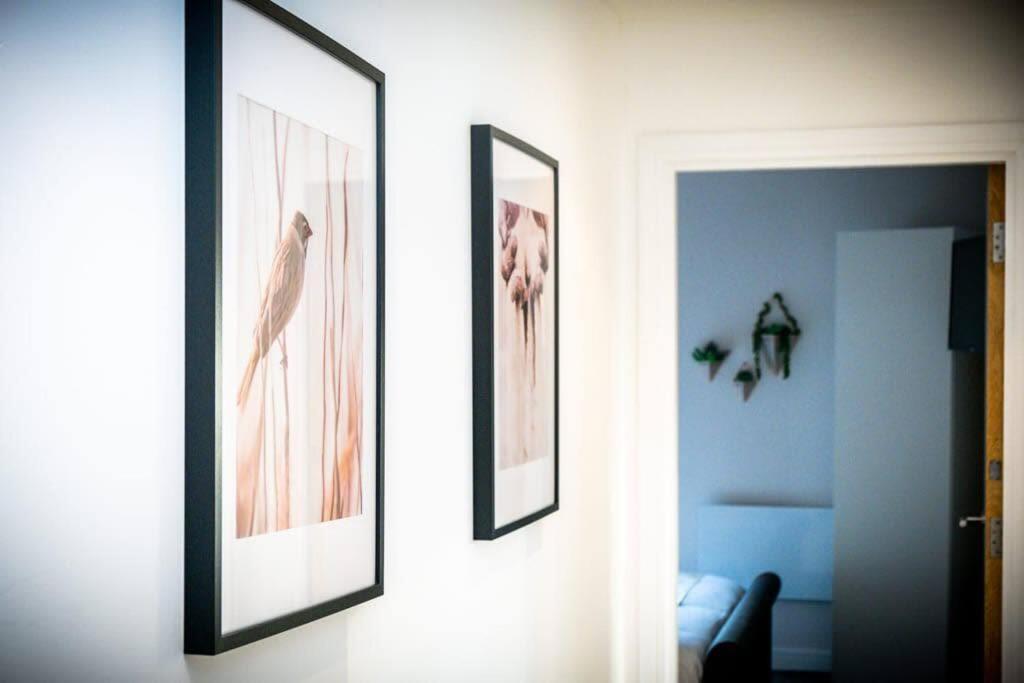 Apartment Pluxa Vivacity Sensational In The Heart Of The *