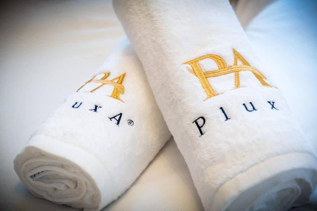 Pluxa Vivacity Sensational In The Heart Of The Apartment
