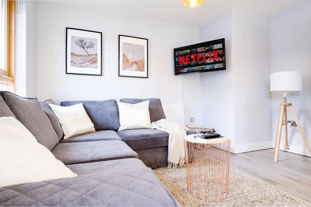 Pluxa Vivacity Sensational In The Heart Of The