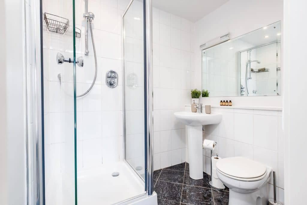 Pluxa Vivacity Sensational In The Heart Of The