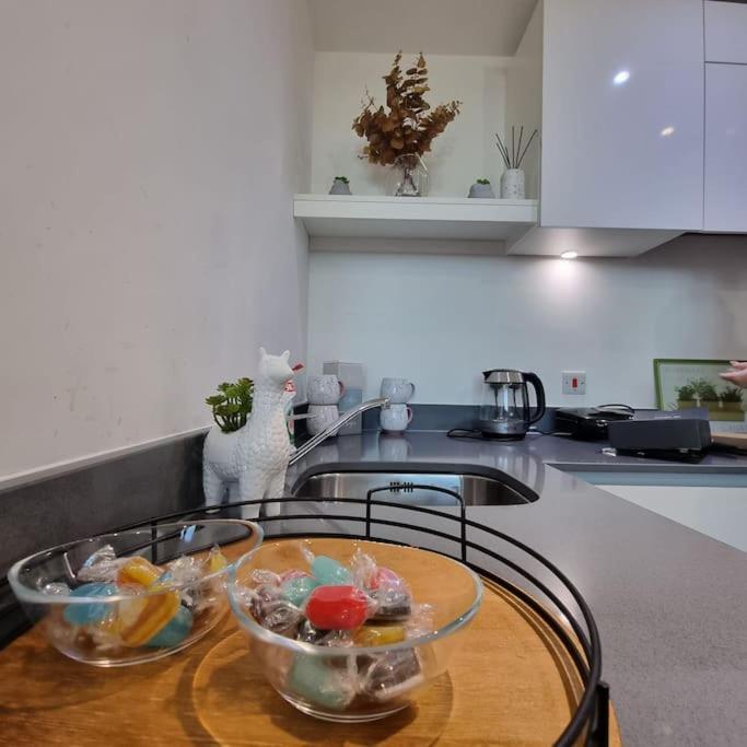 Luxury Apartment