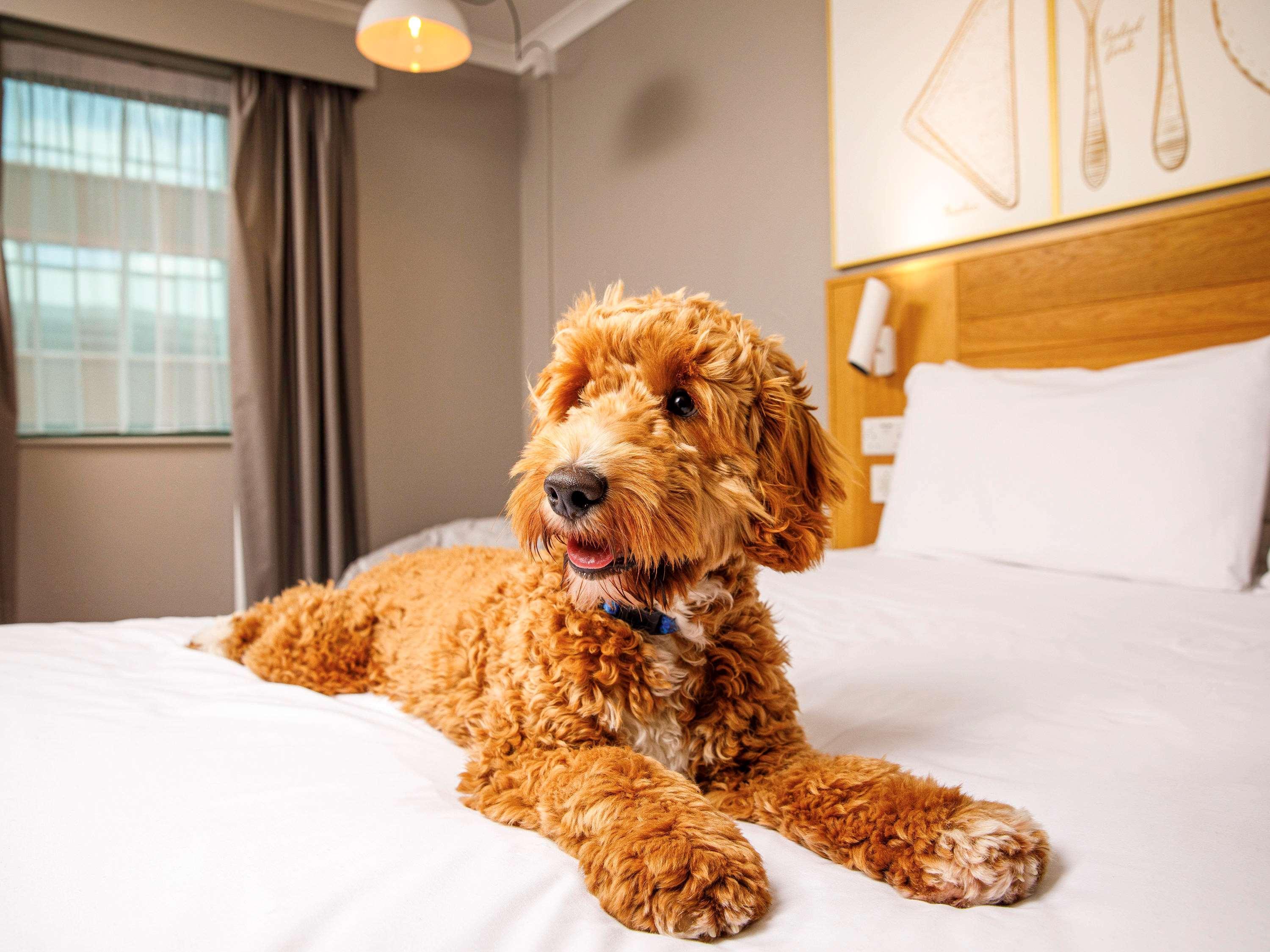 Ibis Styles Centre Hotel 3*