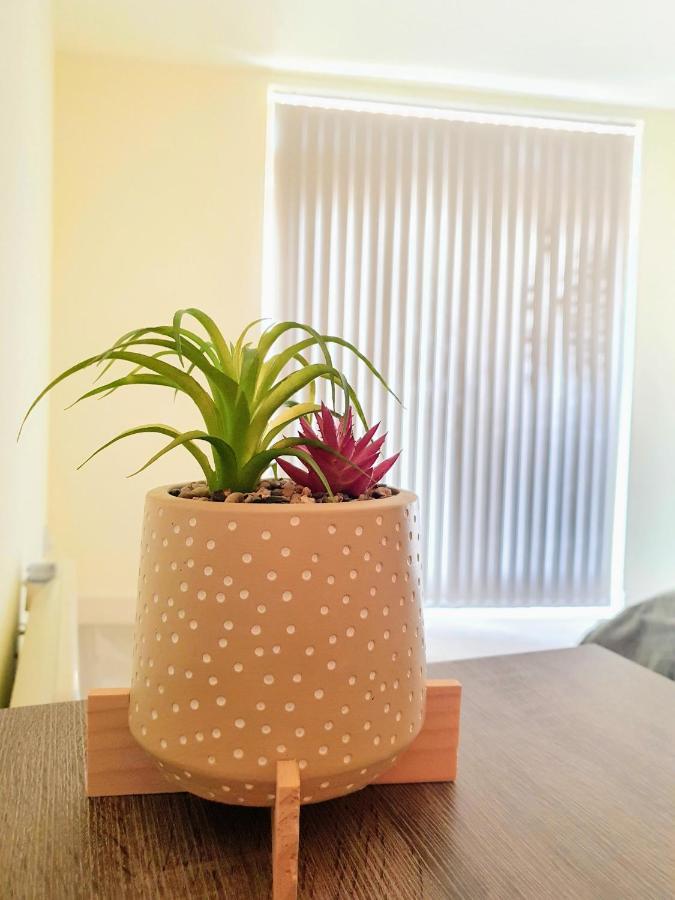 Spacious Modern 1 Bed - Centre *