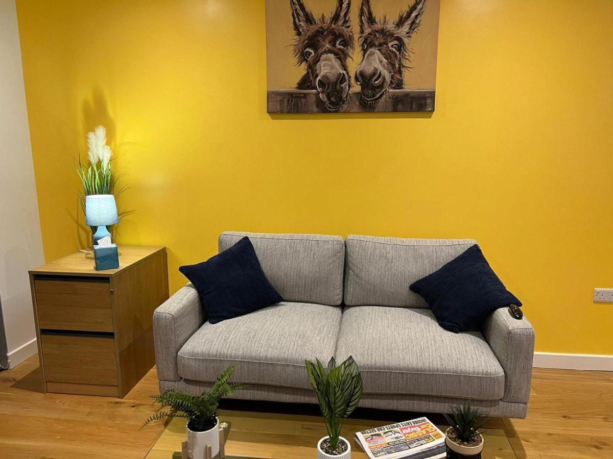 Modern And Cozy By Blue Stays *