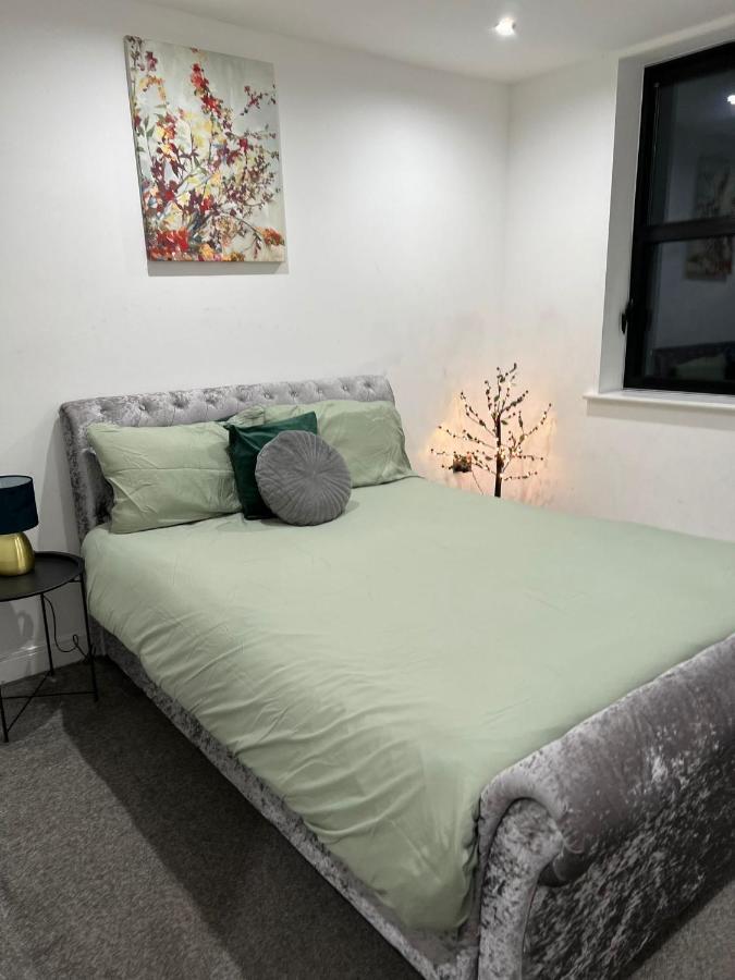 Luxury Apartment