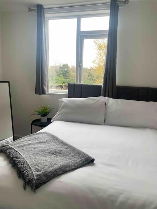 Apartment Lovely 3 Bedroom With Extensive Parking *