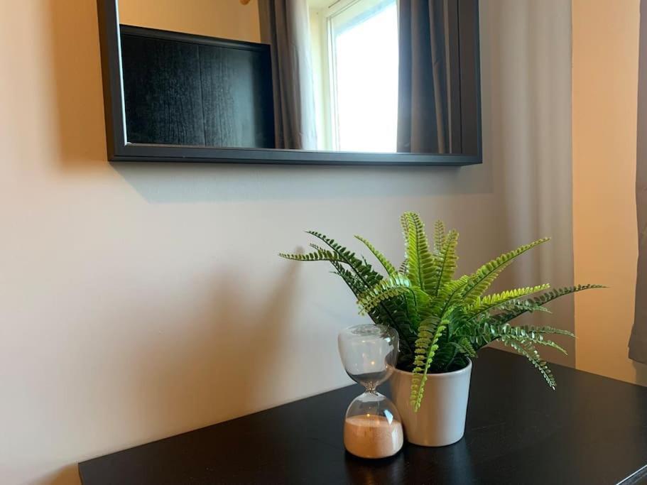 House - 10min To Centre - Sleeps 4 - Parking Birmingham