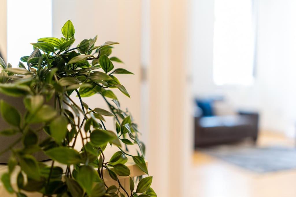 Business Bliss - Birmingham's Premier Corporate * Birmingham
