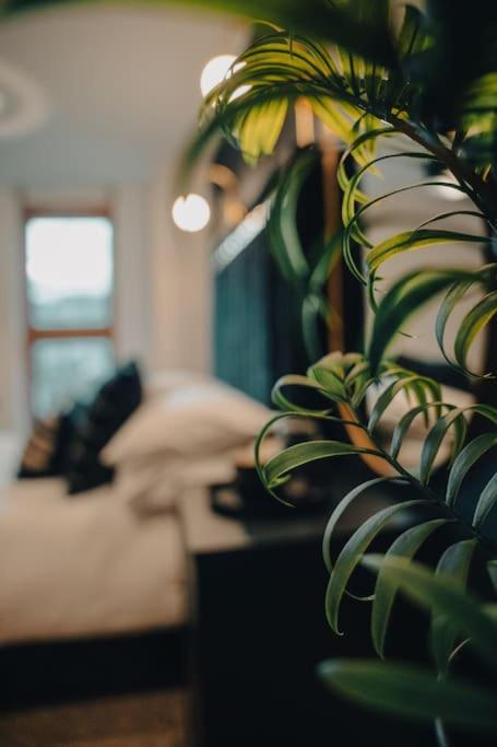 Apartment Penthouse Noir - Wyndale Living - Bham 2br Birmingham