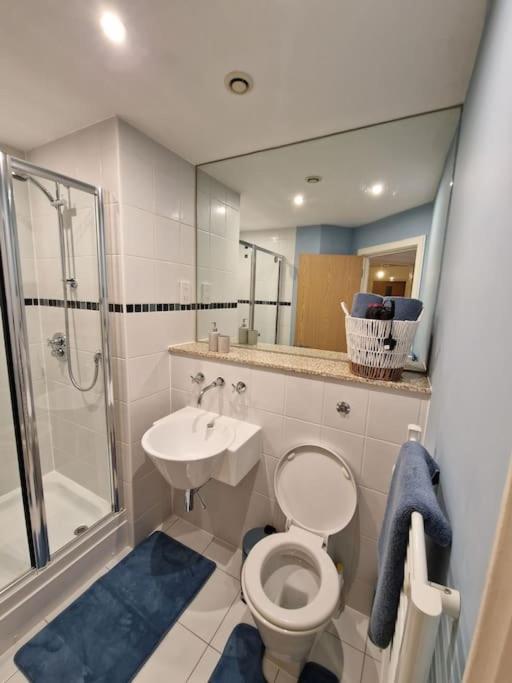 Stylish Hippodrome Sleeps 6 Birmingham