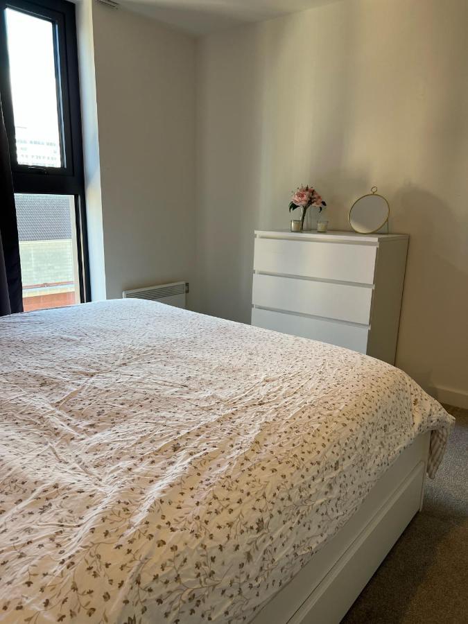 Brand New Heart Of One Bedroom Apartment