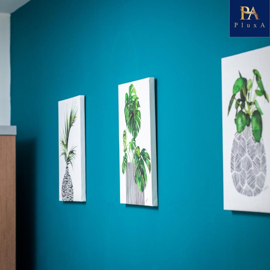 Apartment Pluxa Vivid Veranda Beautiful Centre With Free Parking Birmingham