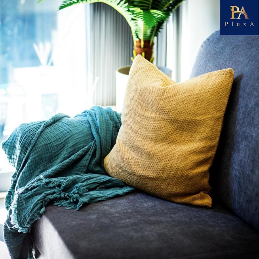 Pluxa Vivid Veranda Beautiful Centre With Free Parking Apartment *