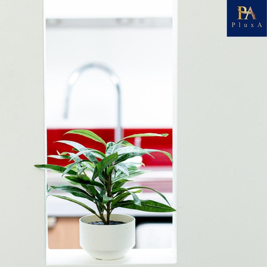 Pluxa Vivid Veranda Beautiful Centre With Free Parking