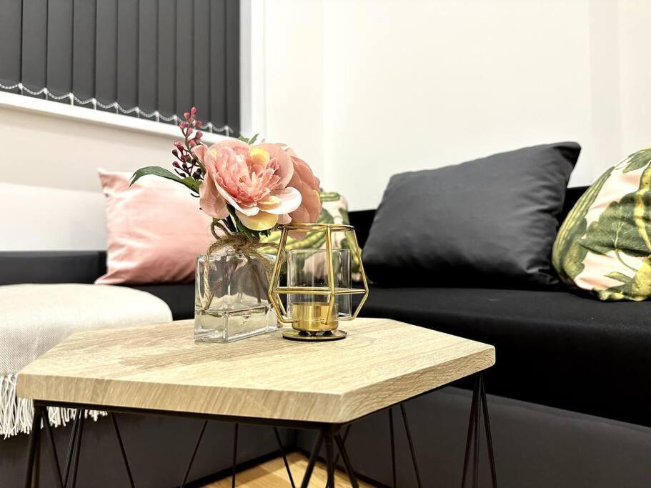 Spacious And Elegant *
