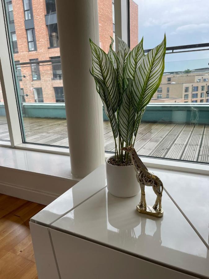 Glass Penthouse With Canal View