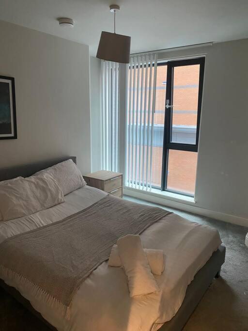 Apartment Comfort Zone *