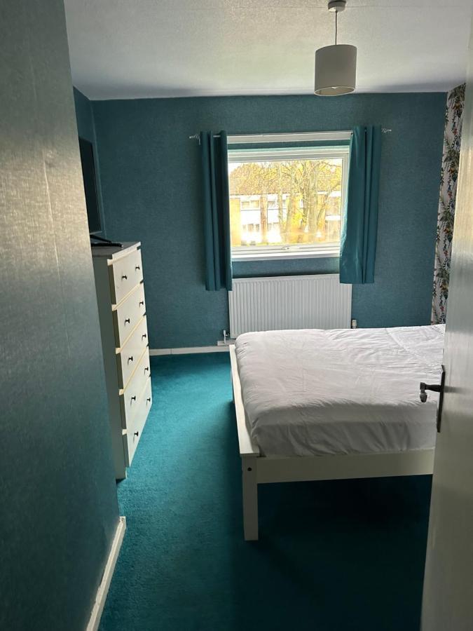 Double To Rent 2 *