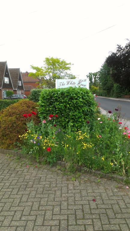 Guest house The White House Quality B&B Near Bham Nec/Airport