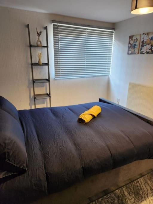 3 Bedroom House - Centre