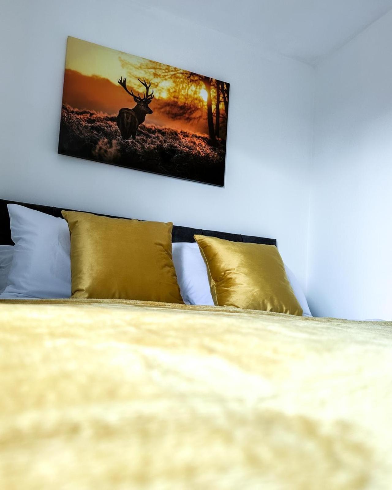 Spacious 6 Bedroom House Near Centre Apartment