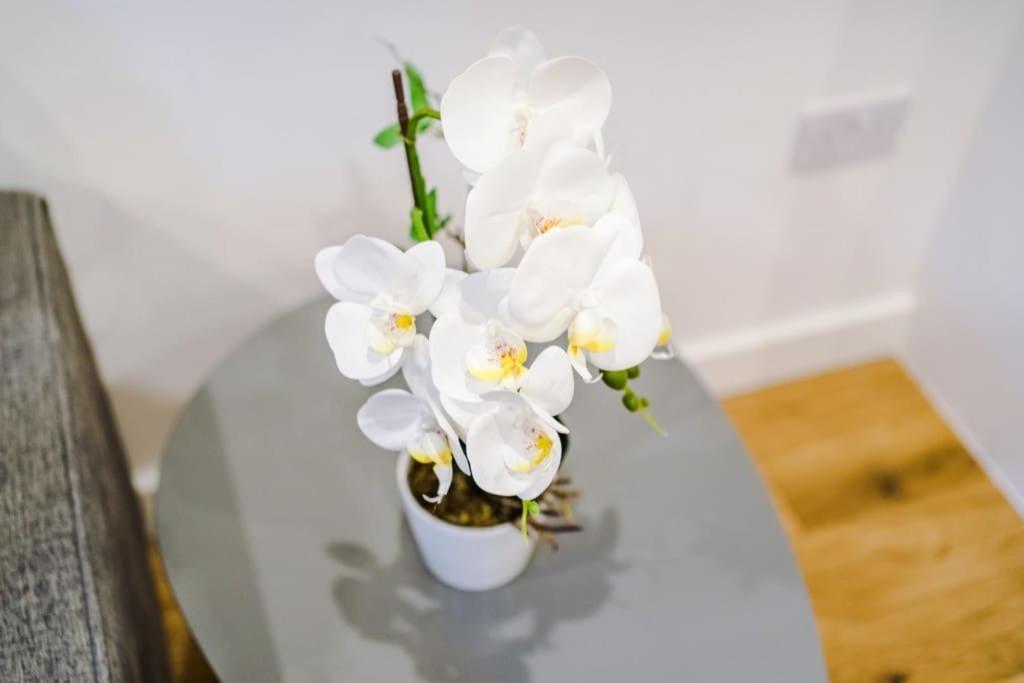 Apartment The Royal - Long Term Offers, Fast Wifi, And Up To 4 People Birmingham