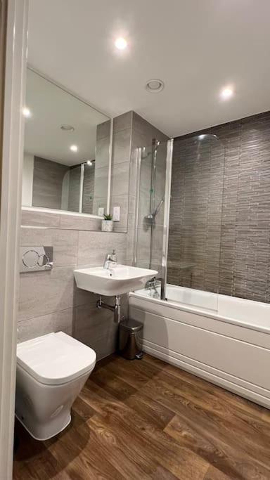 1 Bed 1 Bath Apartment