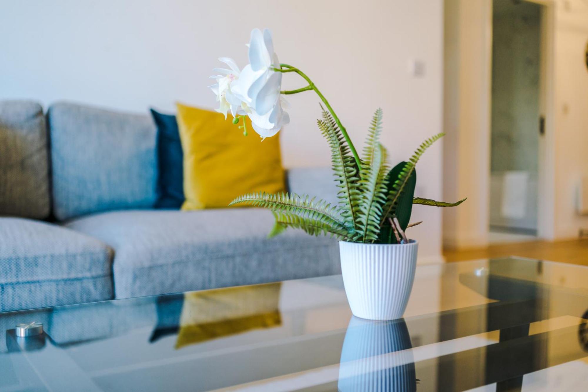 Apartment Luxury With Fantastic Discounts Birmingham