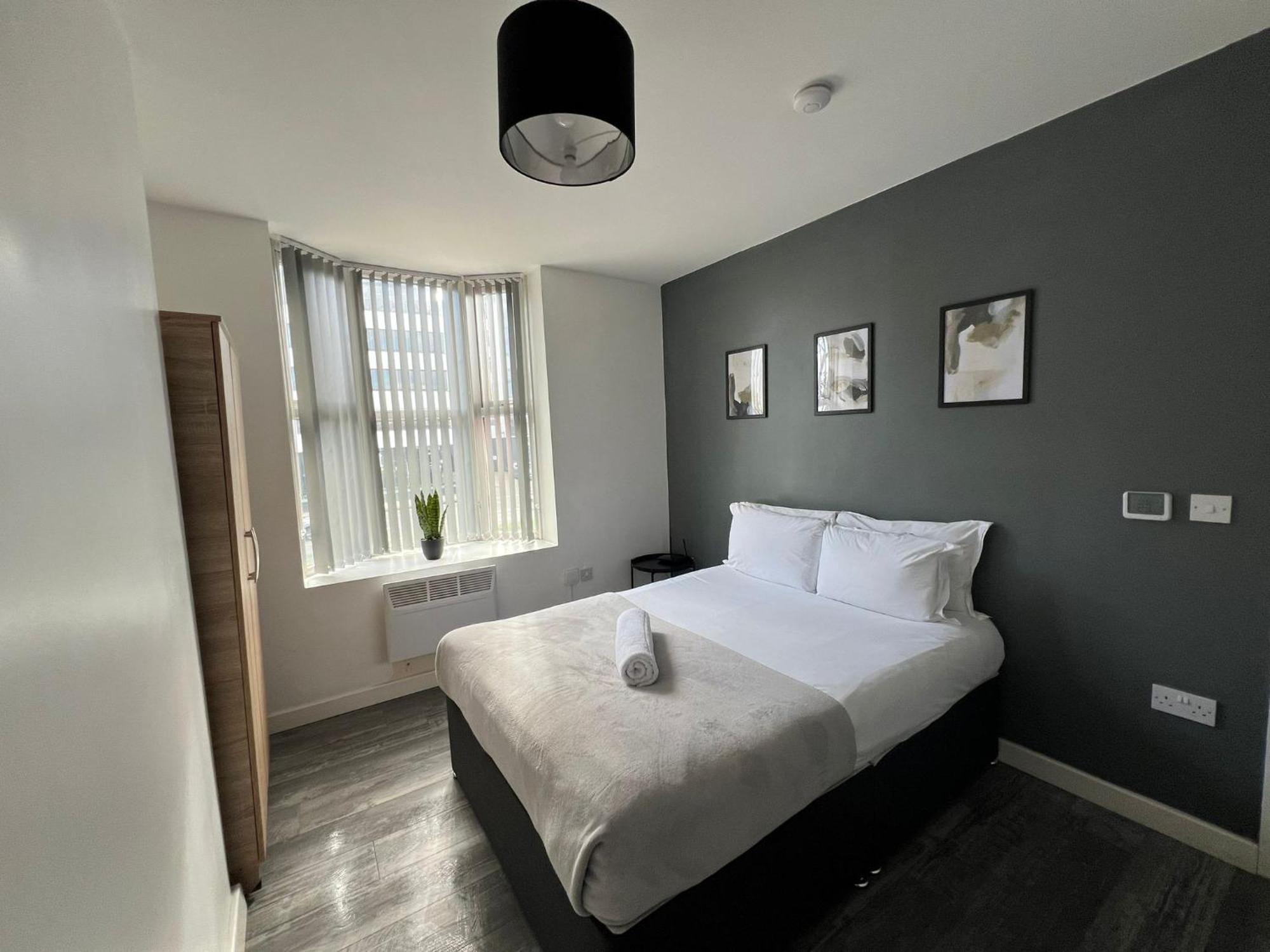 The Hagley Rose -