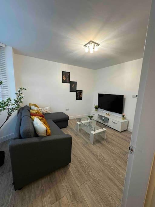 The Ideal Spacious *