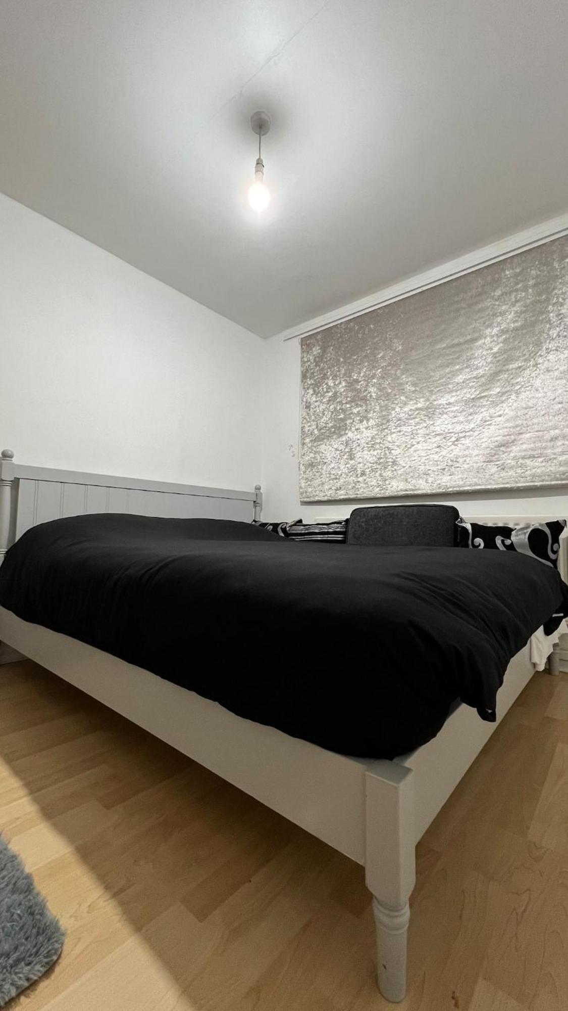 Homestay Downtown Delight