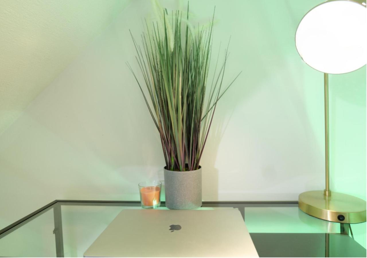 Modern Spark With Parking, Garden, Wi-fi * Birmingham