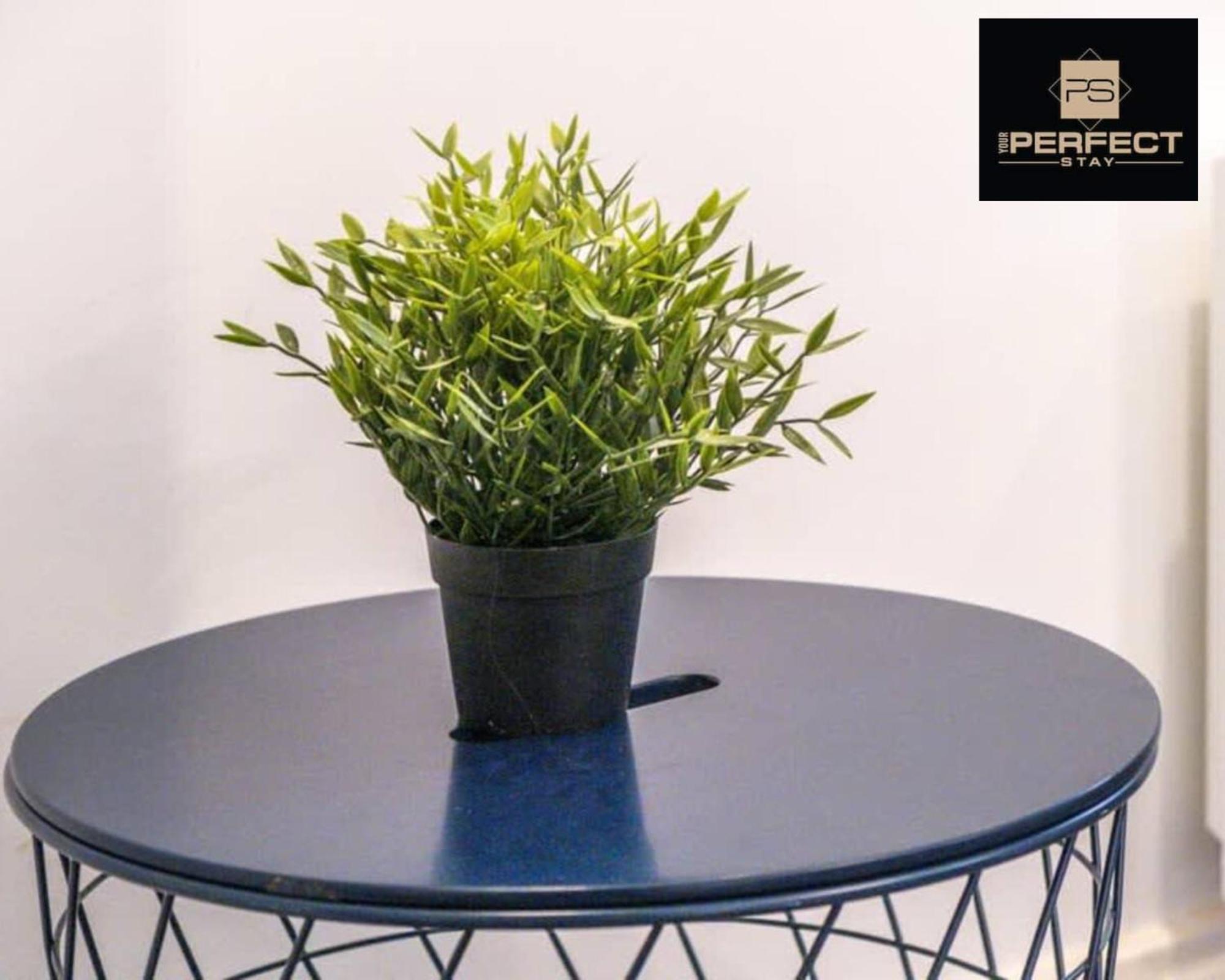 Apartment Platinum By Your Prefect Short Lets With Free Parking & Netflix - 5 *