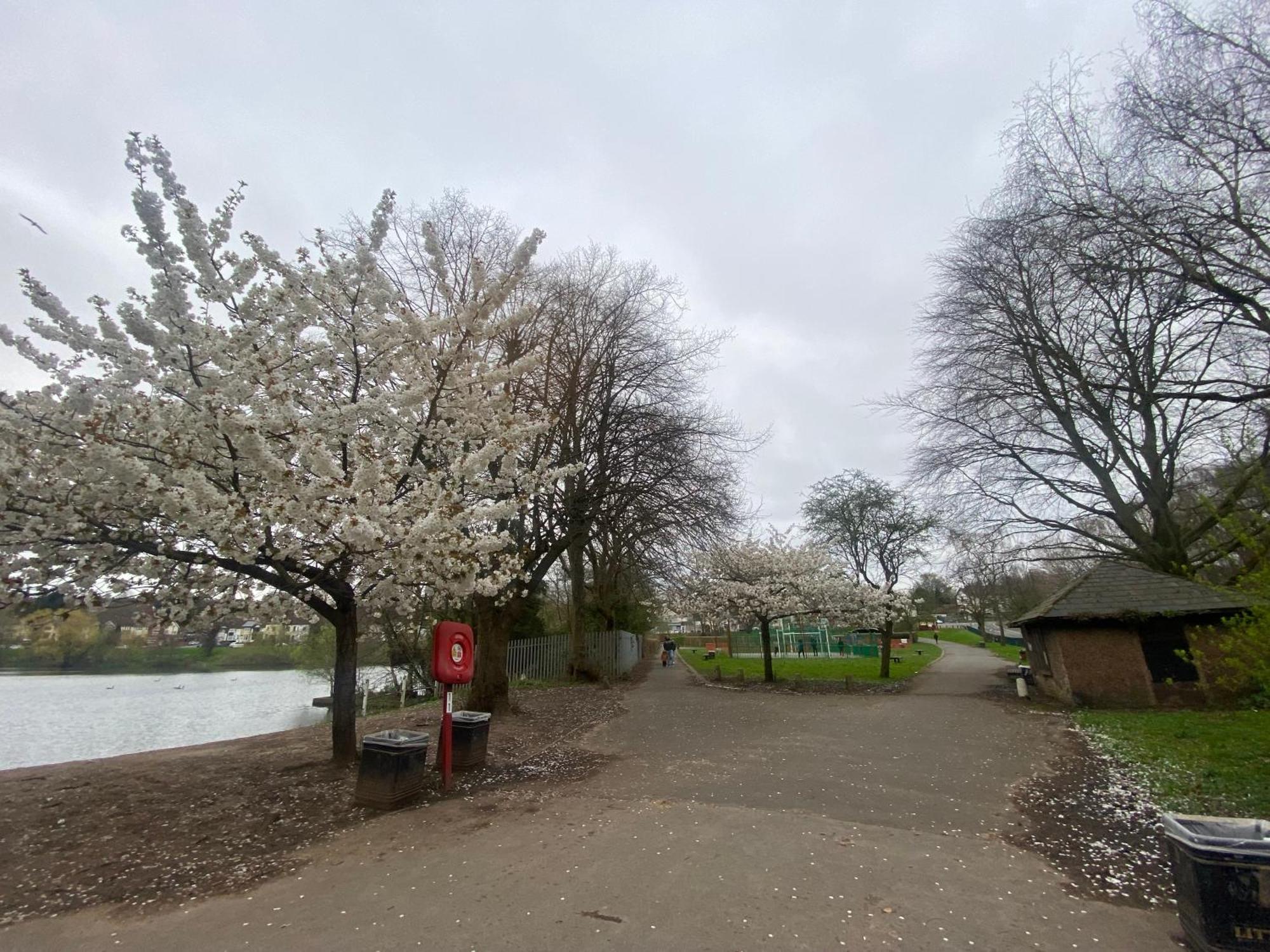 Single In Erdington B23 Homestay Birmingham