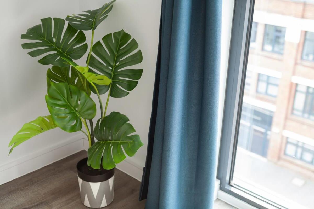 Modern 1 Bedroom In Brimingham Apartment