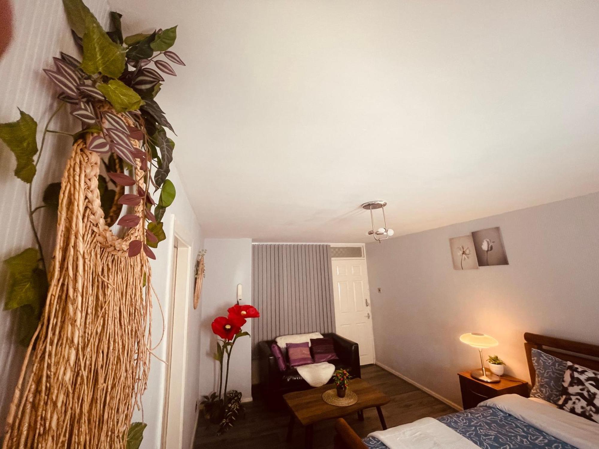 Royal Fikiri House Guest house *