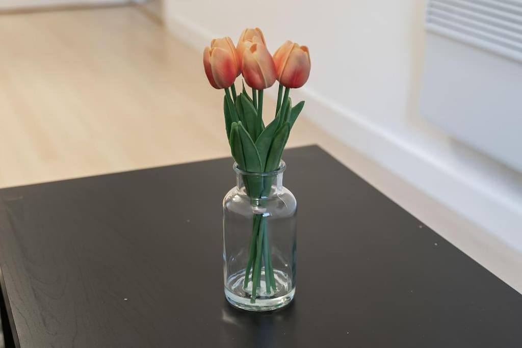 Apartment Luxury - Fast Wifi + Netflix Birmingham