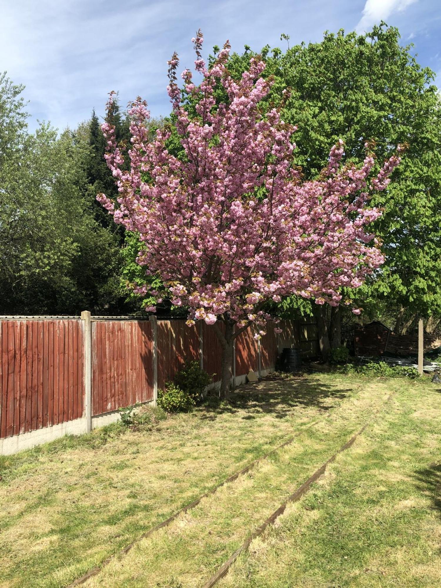 Holiday home Chester House, Nec, Bham Airport, Jlr, Bham Business Park, World