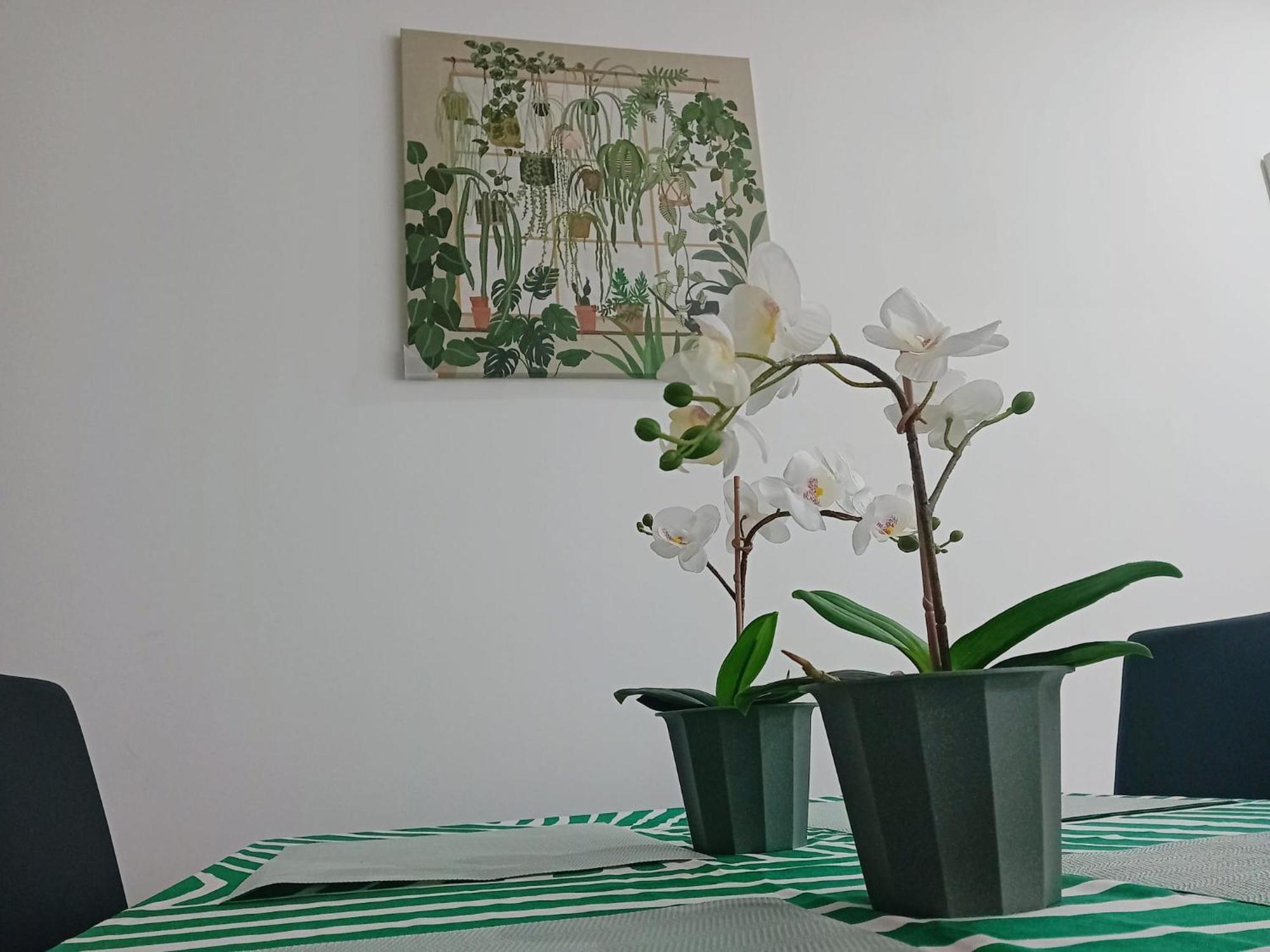 Centre Apartments, Free Parking - Quality Apartment