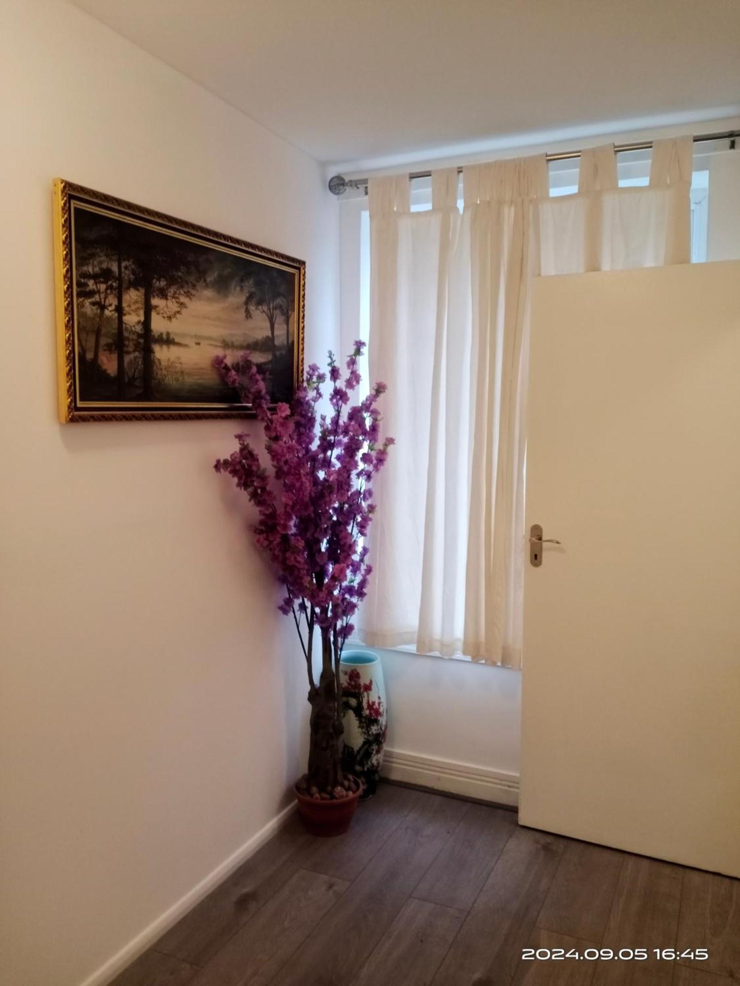 Apartment 3 Bedrooms Semi-detached House,near Airport,nec *