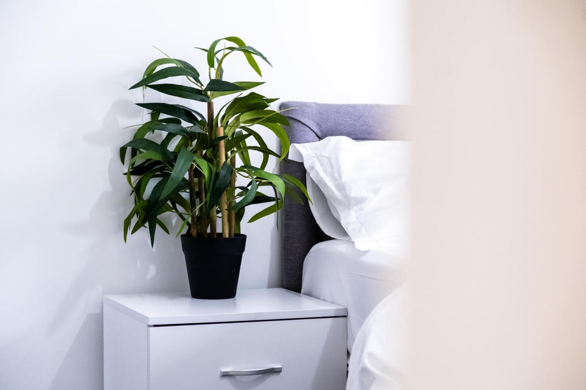 Holiday home Comfy Home-windrush Grove Birmingham
